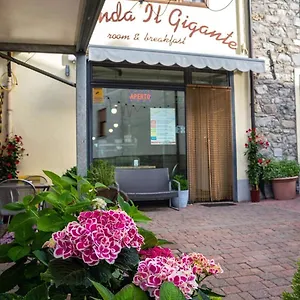 Il Gigante Collagna